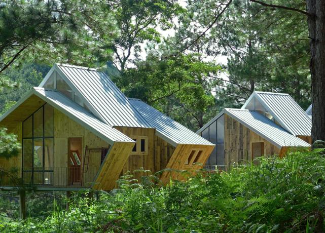 Ta Nung Homestay:Un ufficio immerso nella natura in Vietnam