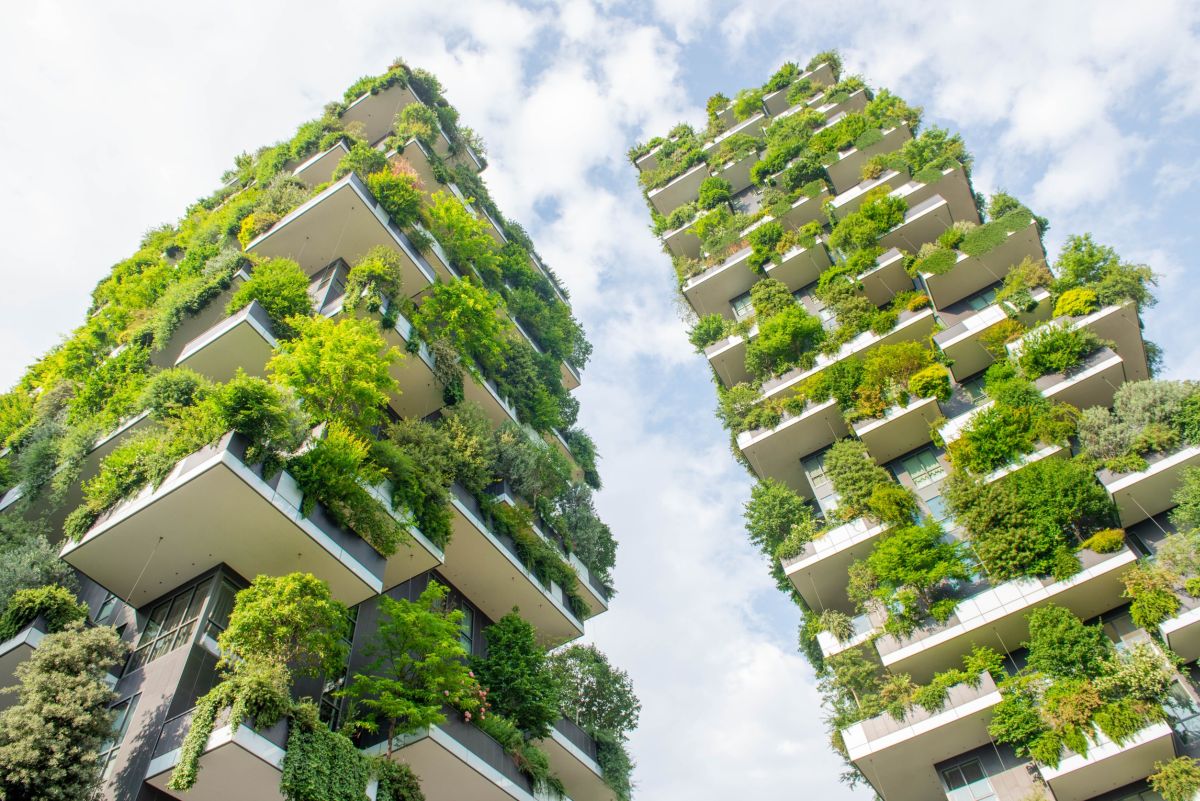 Giardino verticale: la soluzione ideale per il verde urbano