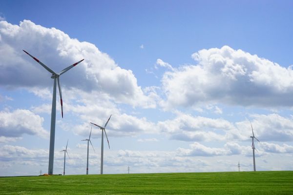 Pale eoliche: energia green per salvare il pianeta