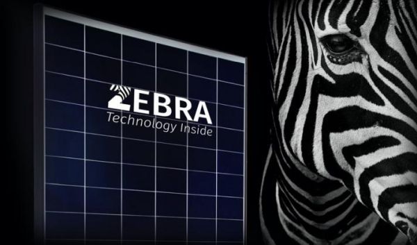 Zebra, il nuovo modulo fotovoltaico con tecnologia IBC