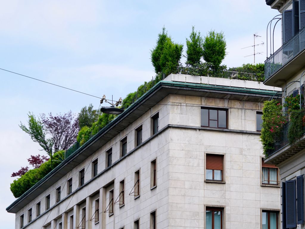i benefici climatici dei tetti verdi