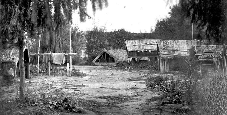 Maori village at Kaiwhaiki