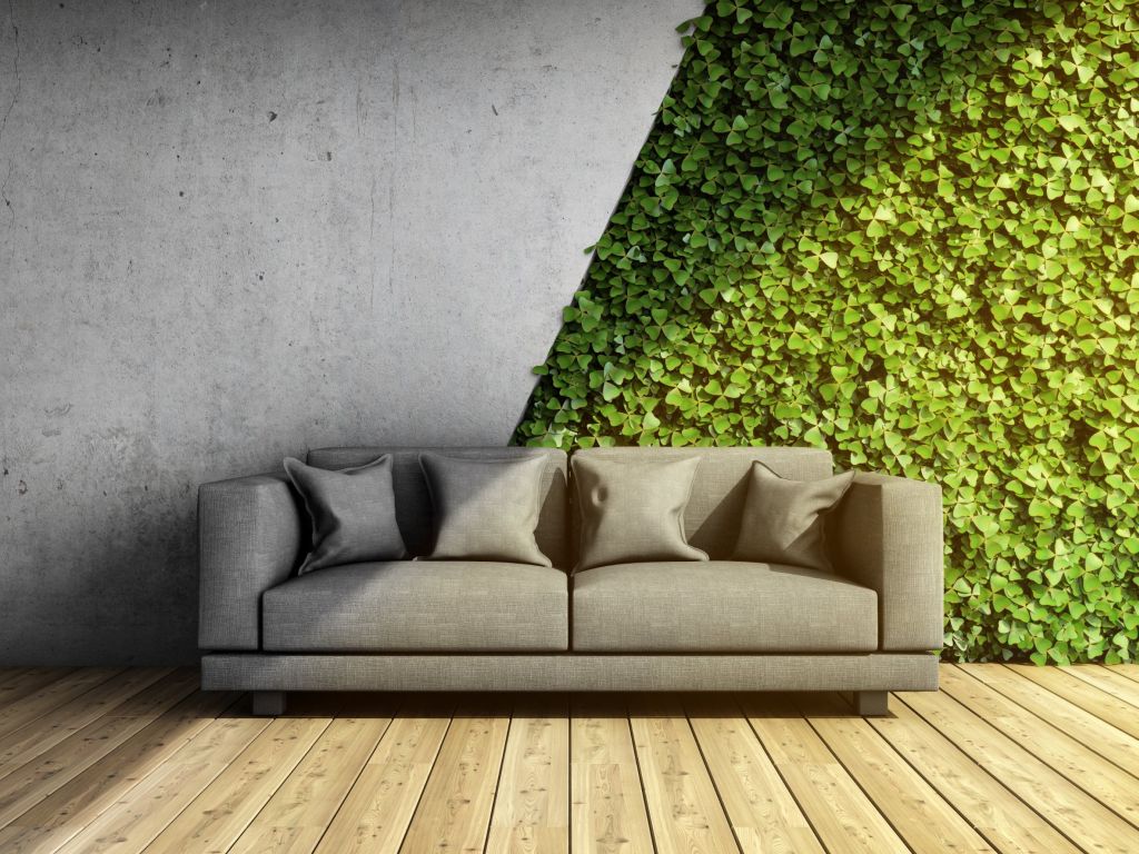I vantaggi di una parete verde dentro casa