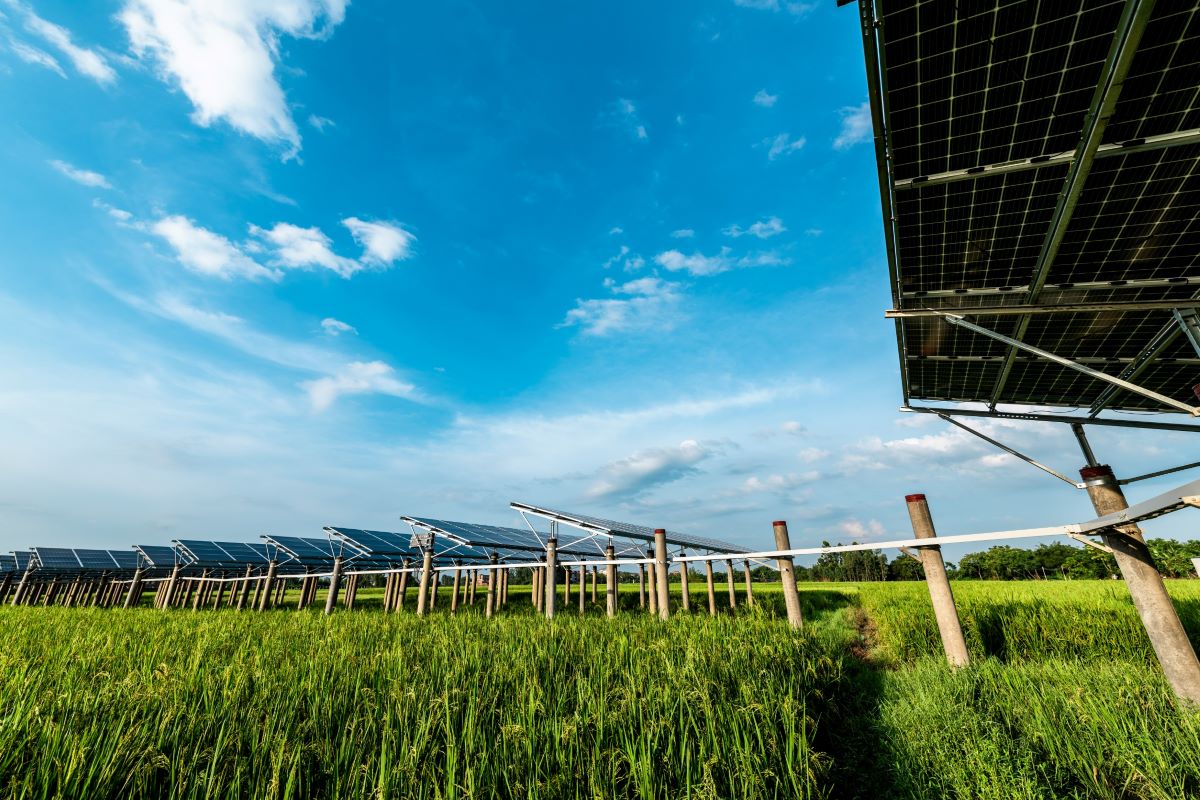 Agrivoltaico in Lombardia: le potenzialità ci sono, urge chiarezza 