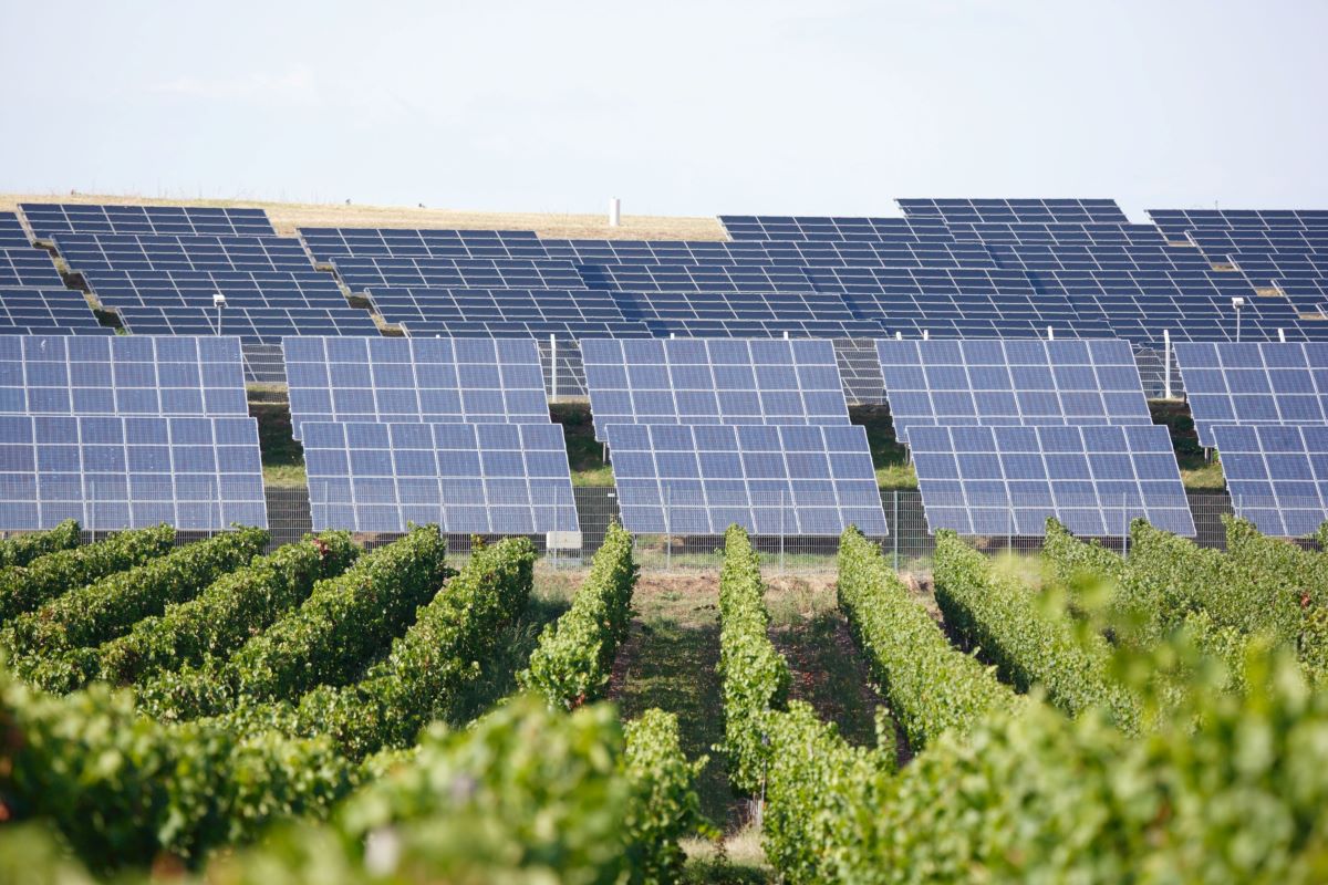 DL Agricoltura e l'impatto sul fotovoltaico, settore da 10,7 miliardi di euro. L'analisi di Anie Rinnovabili